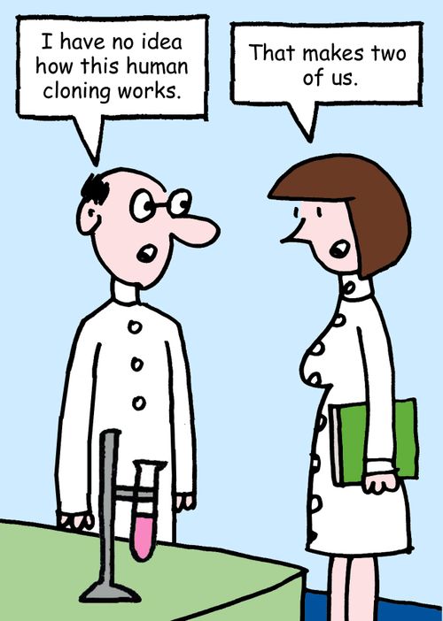 "I have no idea how human cloning works."