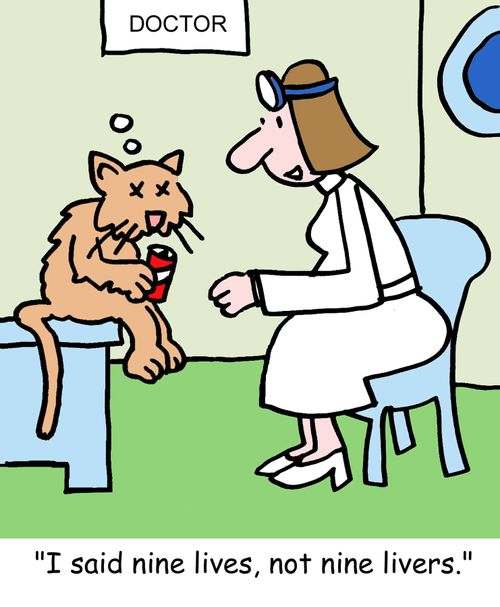 "I said nine lives, not nine livers."