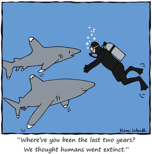"Where've you been the last two years? We thought humans went extinct."