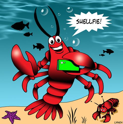 "Shellfie!"