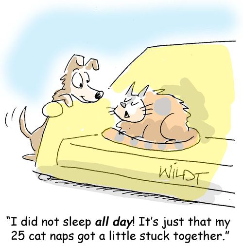 "I did not sleep all day! It's just that my 25 cat naps got a little stuck together."