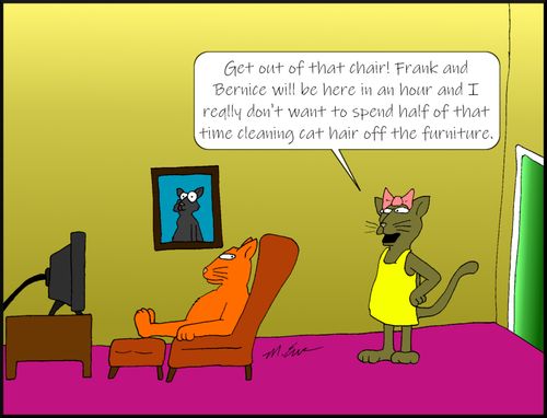 "Get out of that chair! Frank and Bernice will be here in an hour and I really don't want to spend half of that time cleaning cat hair off the furniture."