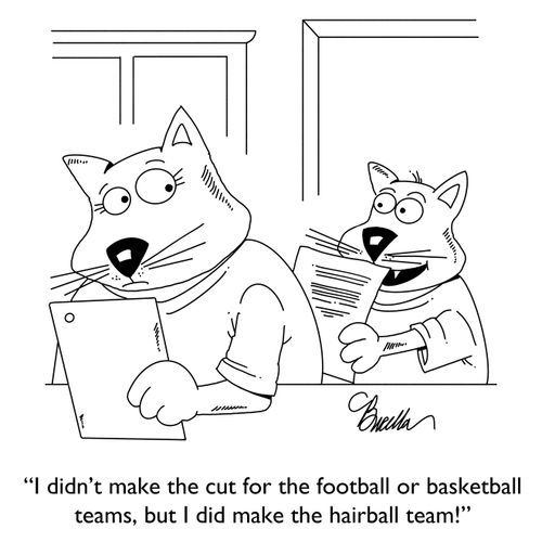 "I didn't make the cut for the football or basketball teams, but I did make the hairball team!"