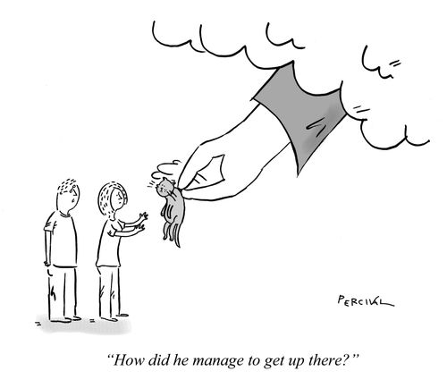 "How did he manage to get up there?"