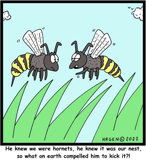 "He knew we were hornets, he knew it was our nest, so what on earth compelled him to kick it?!"