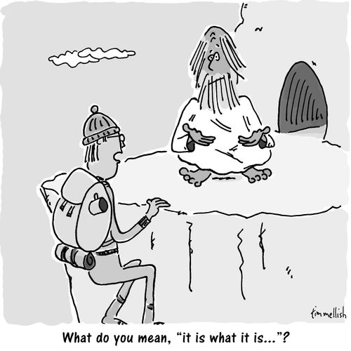 "What do you mean, 'it is what it is. . .?'"