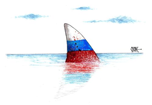 Russian Shark