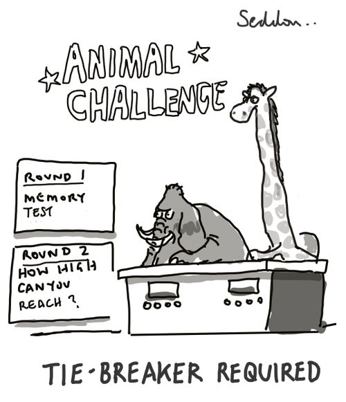 Animal challenge: tie-breaker required.