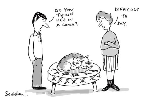 "Do you think he's in a coma?"
