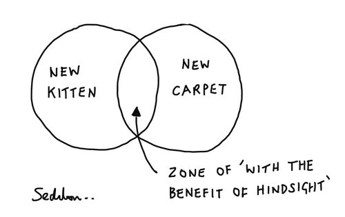 Venn diagram showing new kitten, new carpet and 'benefit of hindsight' in the middle.