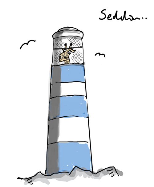Giraffe looking out of a lighthouse.