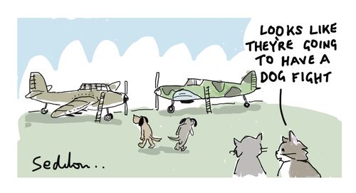 "Looks like they're going to have a dog fight."