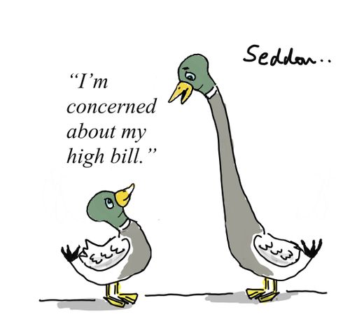 "I'm concerned about my high bill."