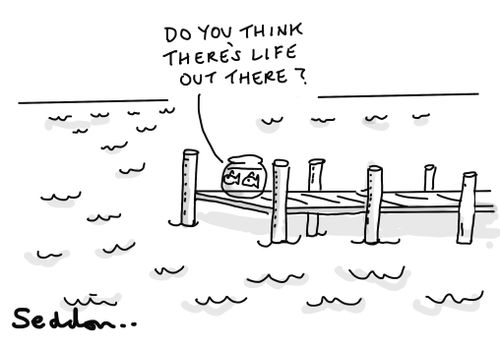 "Do you think there's life out there?"