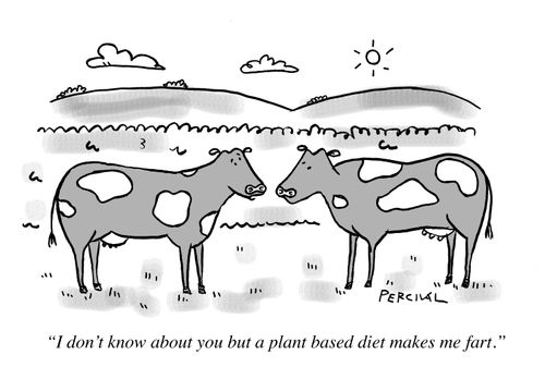 "I don't know about you but a plant based diet makes me fart."