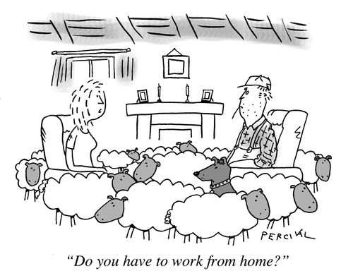 "Do you have to work from home?"