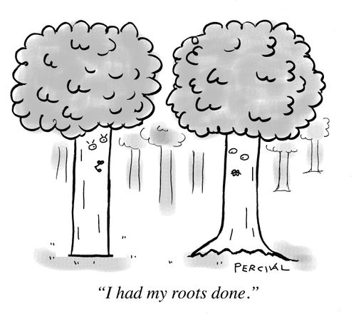 "I had my roots done."