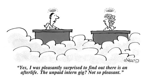 "Yes, I was pleasantly surprised to find out there is an afterlife. The unpaid intern gig? Not so pleasant."