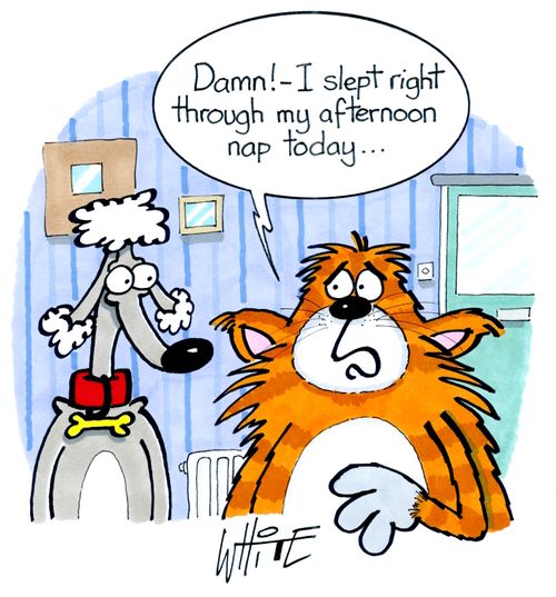 "Damn! - I slept right through my afternoon nap today. . ."