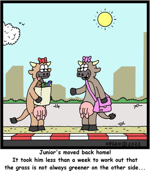 "Junior's moved back home! It took him less than a week to work out that the grass is not always greener on the other side..."