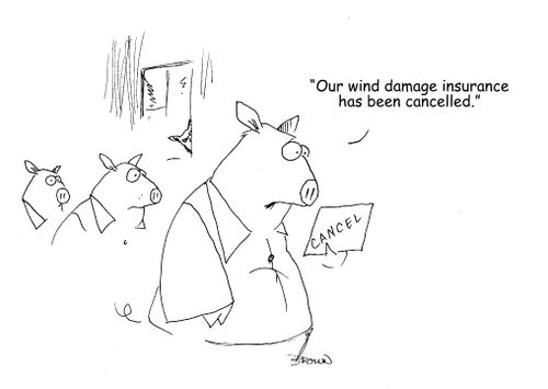 "Our wind damage insurance has been cancelled."
