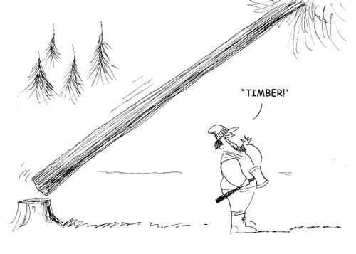 Woodcutter yells 'timber' as tree falls on him.