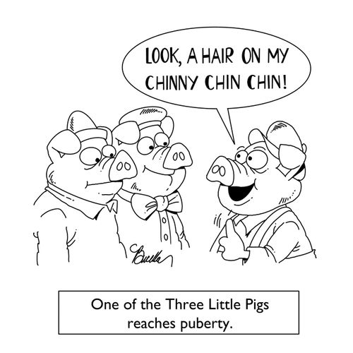 One of the Three Little Pigs reaches puberty.
