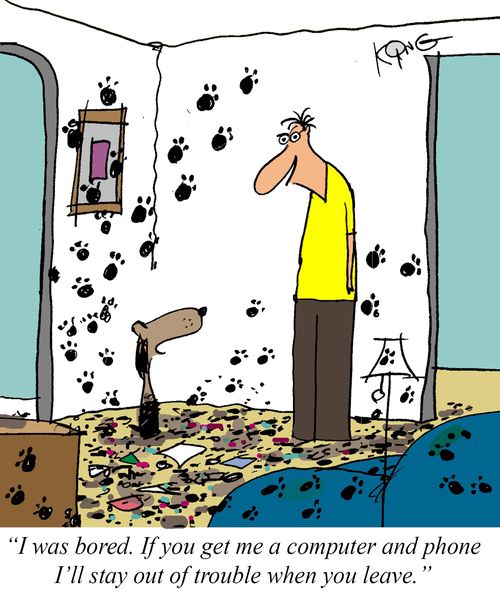 "I was bored. If you get me a computer and phone I'll stay out of trouble when you leave."