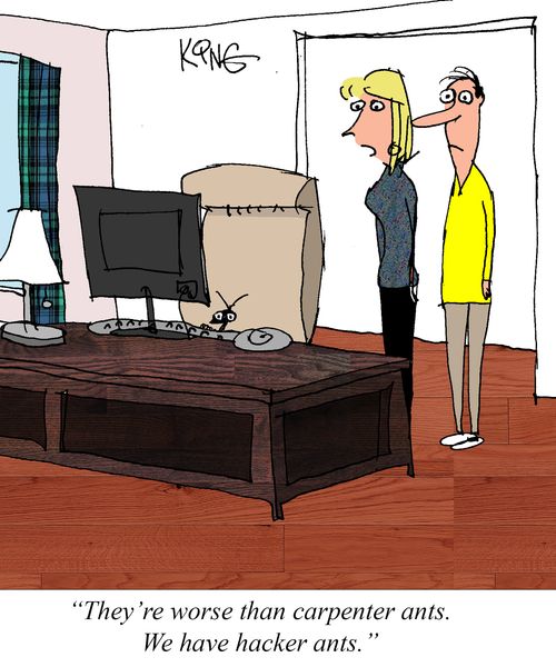 "They're worse than carpenter ants. We have hacker ants."