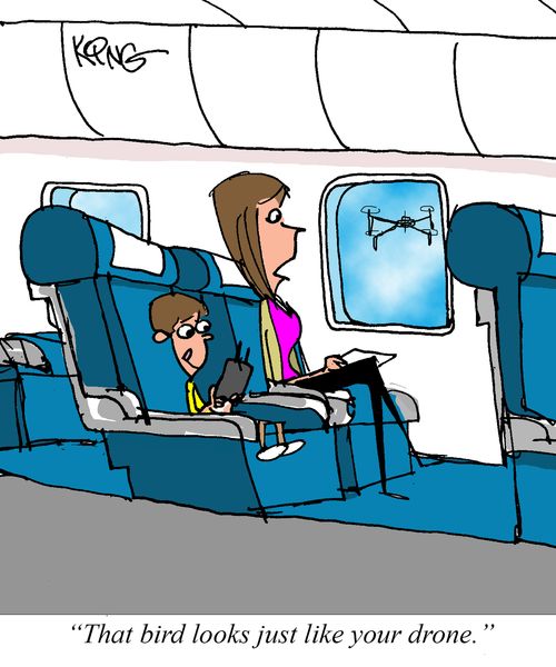 "That bird looks just like your drone."