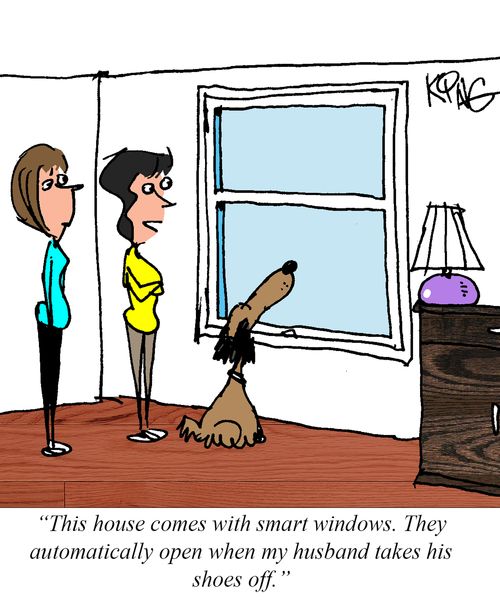 "This house comes with smart windows. They automatically open when my husband takes his shoes off."