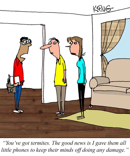 "You've got termites. The good news is I gave them all little phones to keep their minds off doing any damage."