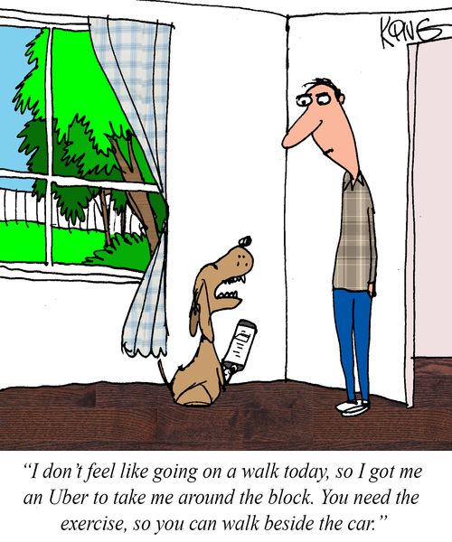 "I don't feel like going on a walk today, so I got me an Uber to take me around the block. You need the exercise, so you can walk beside the car."