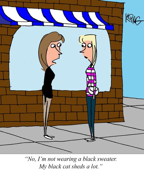 "No, I'm not wearing a black sweater. My black cat sheds a lot."