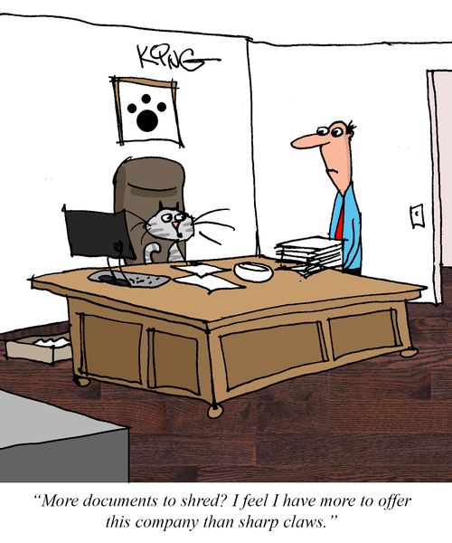 "More documents to shred? I feel I have more to offer this company than sharp claws."