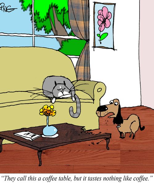 "They call this a coffee table, but it tastes nothing like coffee."