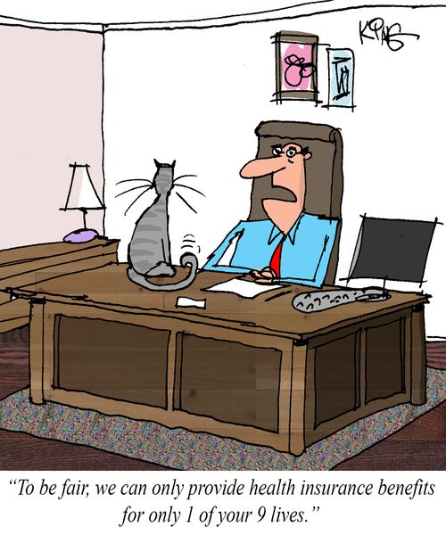 "To be fair, we can only provide health insurance benefits for only 1 of your 9 lives."
