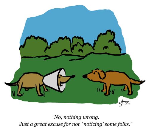 "No, nothing wrong. Just a great excuse for not 'noticing' some folks."