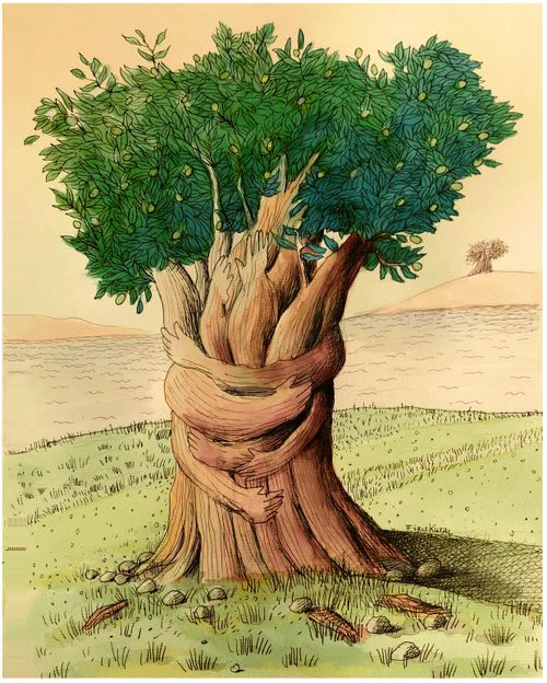 Protect Olive trees