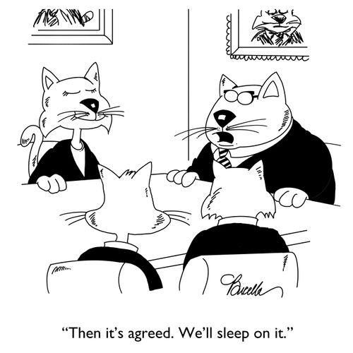 "Then it's agreed. We'll sleep on it."
