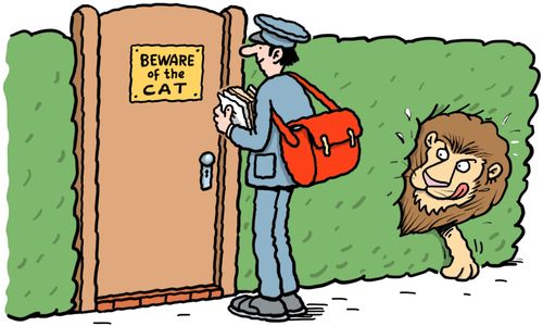 Beware of the Cat