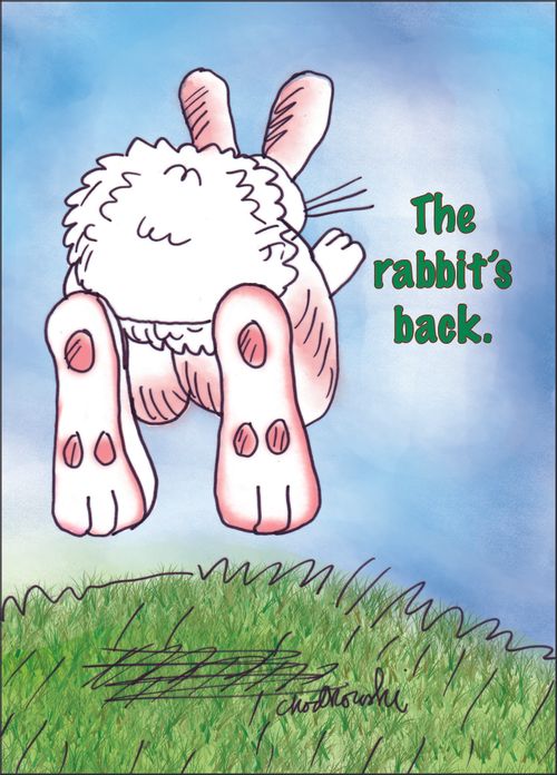The rabbit's back.