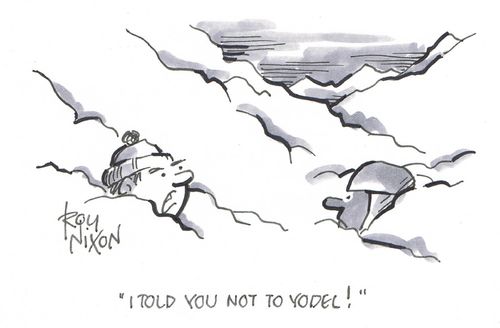 "I told you not to Yodel!"
