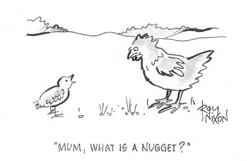 "Mum, what is a nugget?"
