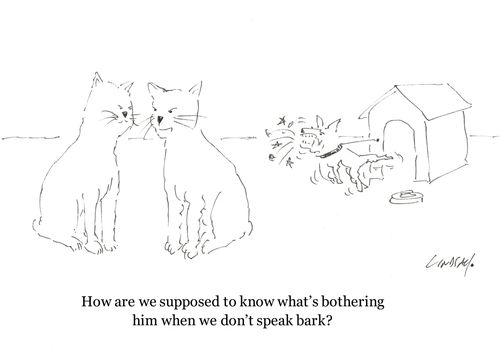 "How are we supposed to know what's bothering him when we don't speak bark?"