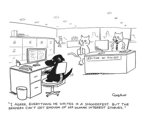 "I agree, everything he writes is a snoozefest. But the readers can't get enough of his interest stories."