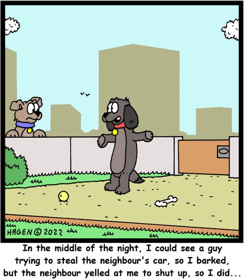 "In the middle of the night, I could see a guy trying to steal the neighbour's car, so I barked, but the neighbour yelled at me to shut up, so I did. . ."