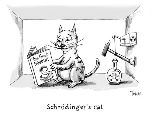 Schrödinger's cat.