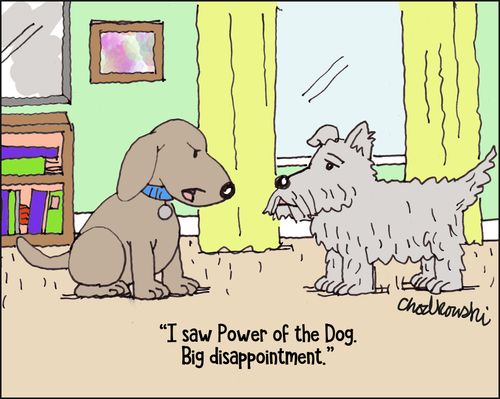 "I saw Power of the Dog. Big disappointment."