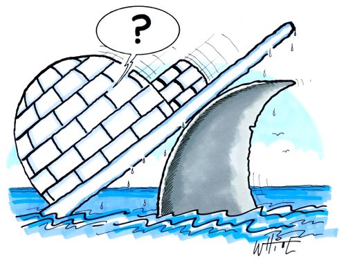 A shark fin lifts up an igloo
